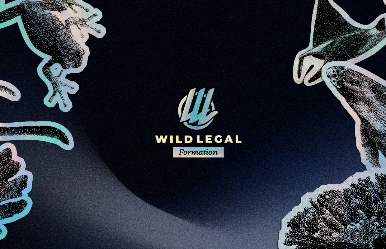 Coucou Design – Wild Legal – Thumb