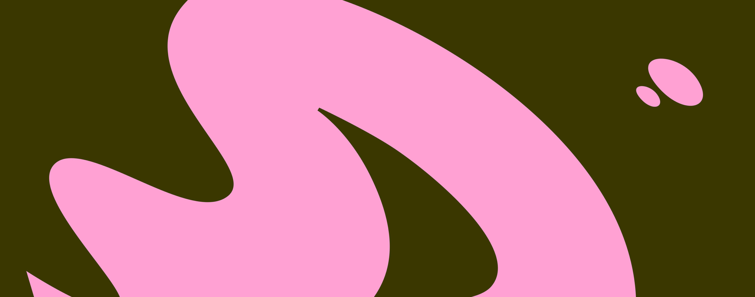 Coucou Design – Dash and Splash Media – 4