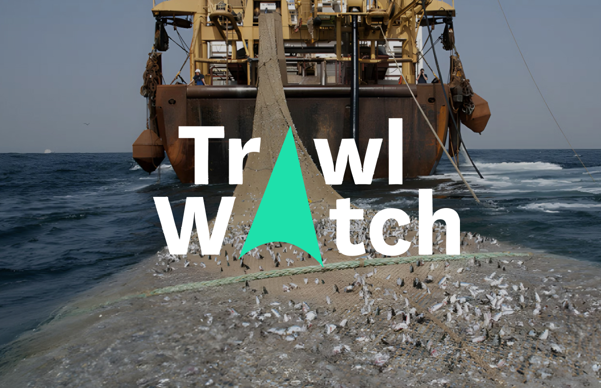 Trawlwatch